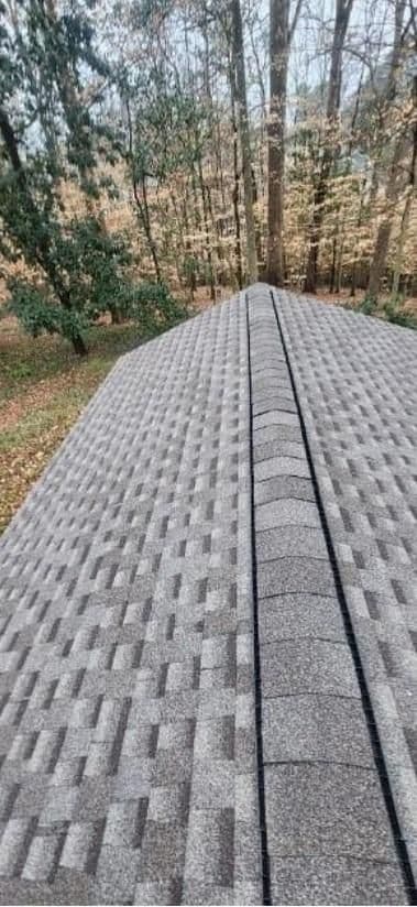 A gray shingled roof is viewed from above, surrounded by tall trees with bare branches. The scene conveys a tranquil, overcast autumn day.