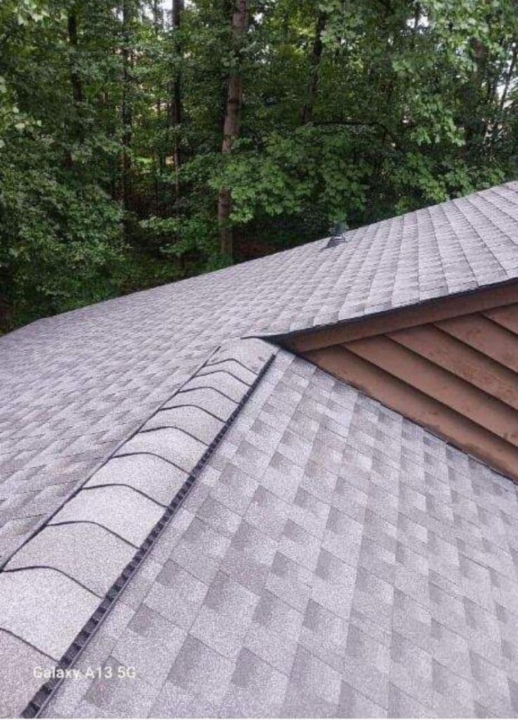 A gray shingled roof is shown in detail, with trees providing a lush, green backdrop. The scene conveys a serene outdoor environment.