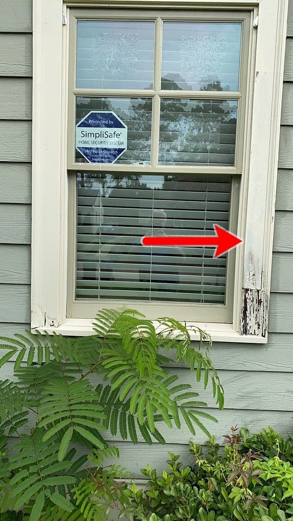 A wooden window with white frame features a home security sticker. A red arrow points to peeling paint on the lower right, surrounded by green foliage.